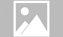 吃瓜天鹅天天爆料视频大全,视频爆料大全精彩回顾