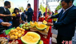 杨家坪吃瓜最新事件爆料